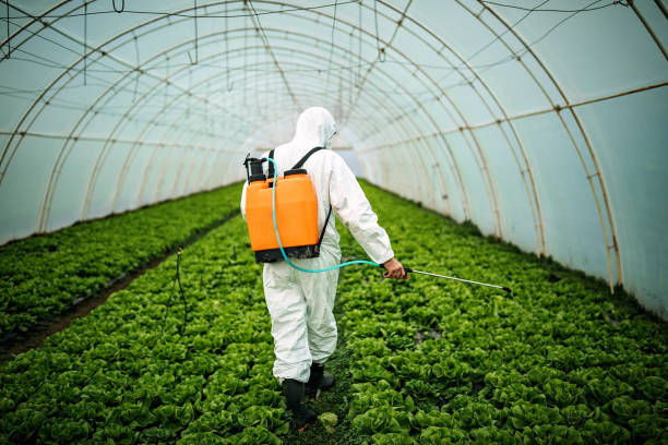 Best Mosquito Control Services  in Covington, LA