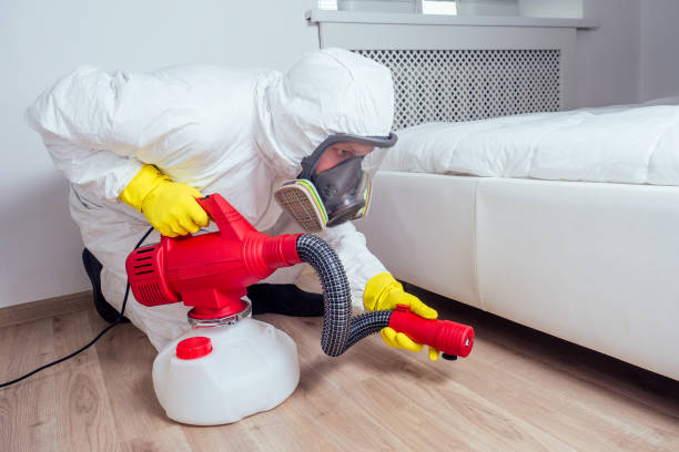 Best Affordable Pest Control Services  in Covington, LA