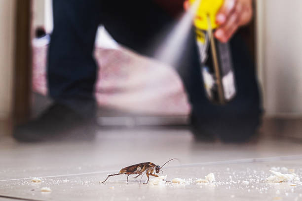 Best Residential Pest Control  in Covington, LA