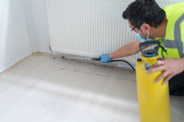 Pest Control for Restaurants in Covington, LA